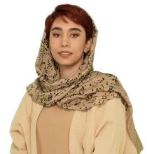 استاد پرنیان موسوی استاد پرنیان موسوی